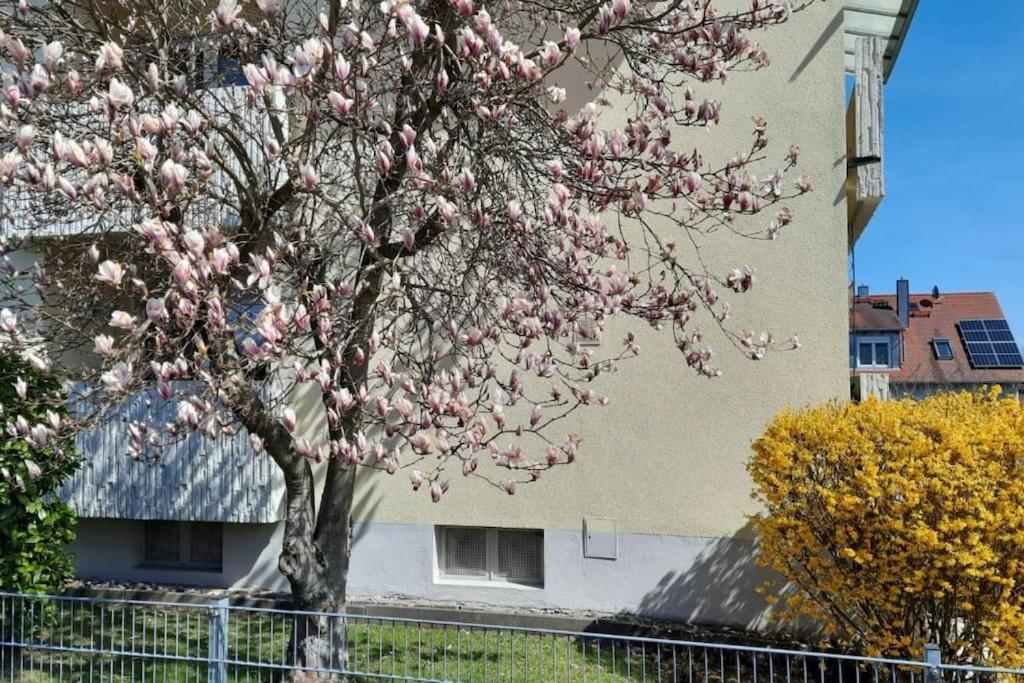 Beckhomes Bb- Gemuetliche, Neue Wohnung Bischberg Exterior foto